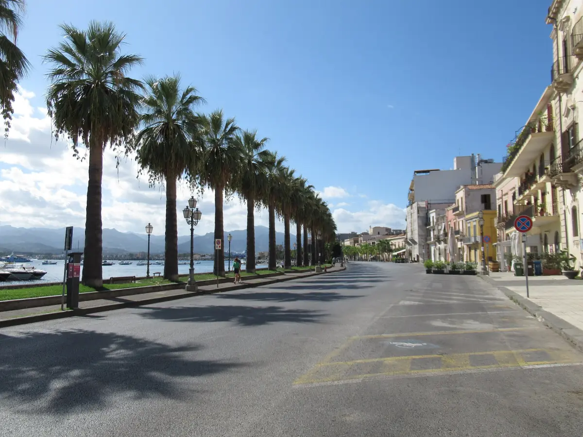 Palms along the Lungomare Garibaldi